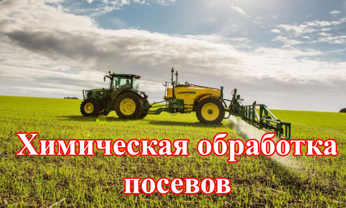 ООО «Неварь» информирует Вас о том, что в период с 13.04.2023 г. по 23.04.2023 г. будет проводиться химическая обработка посевов озимой пшеницы пестицидами.